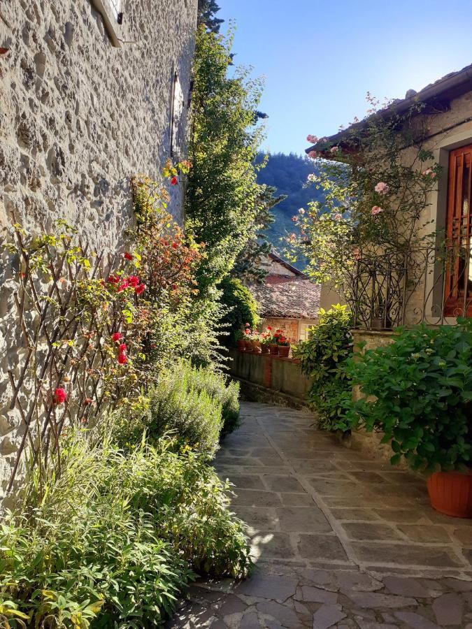 Albergo La Baita Corfino Extérieur photo