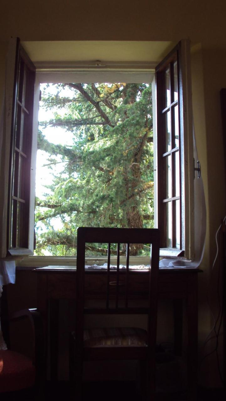 Albergo La Baita Corfino Chambre photo