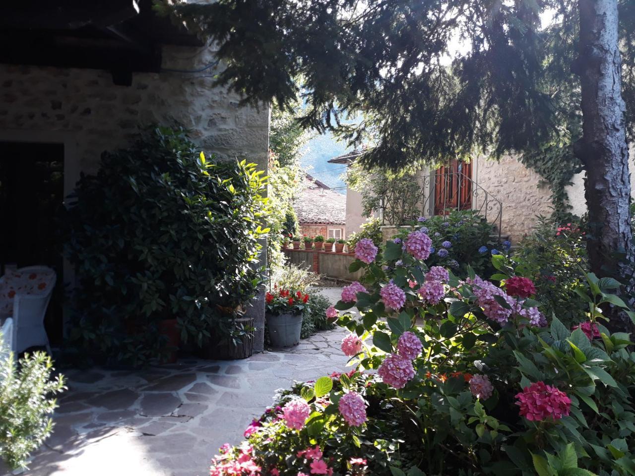 Albergo La Baita Corfino Extérieur photo